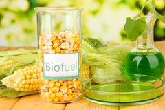 Brampford Speke biofuel availability